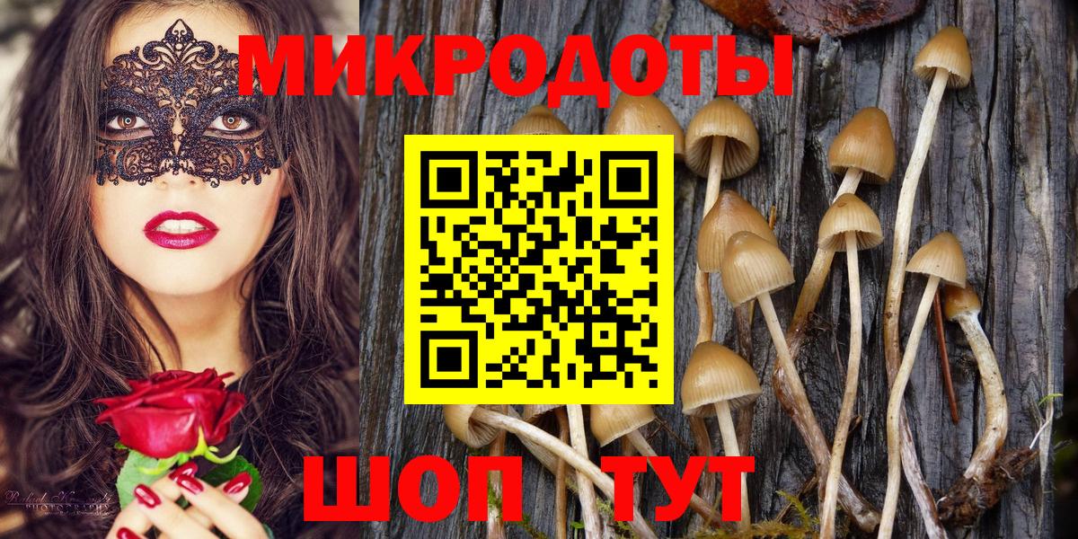 Галлюциногенные грибы Psilocybine cubensis Верхняя Пышма