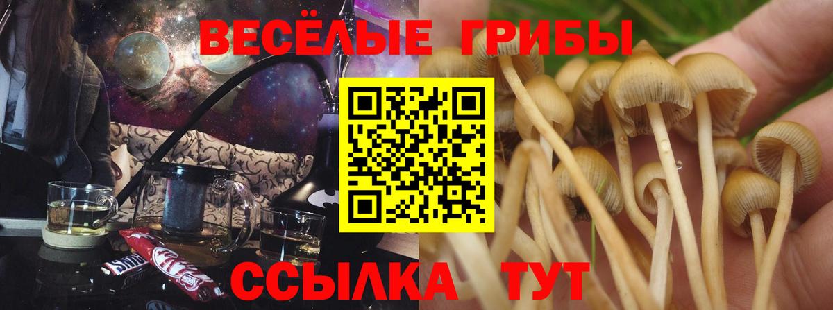Верхняя Пышма  Галлюциногенные грибы прущие грибы  Вход с VPN 